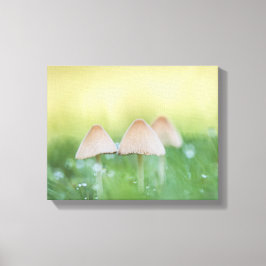 Smal svampar Natur Foto Canvastryck