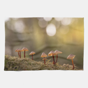 Smal svampar Natur Foto Kökshandduk