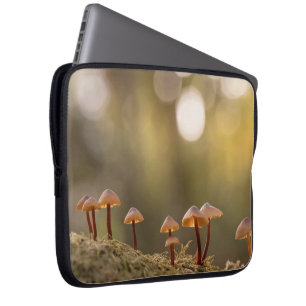 Smal svampar Natur Foto Laptop Fodral