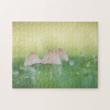 Smal svampar Natur Foto