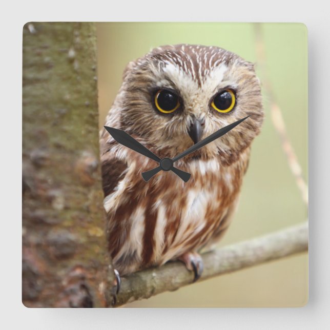 Small Baby Uggla | Ontarios Fyrkantig Klocka (Framsida)