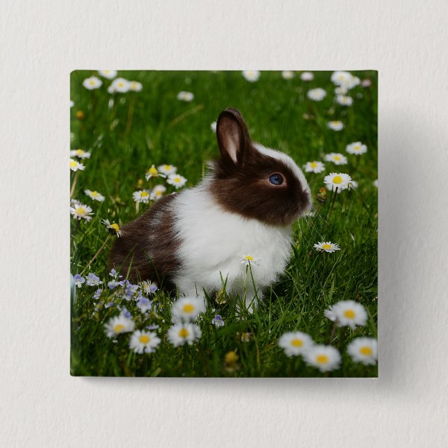 Small Brown and White Bunny i Flowers Knapp (Framsida)