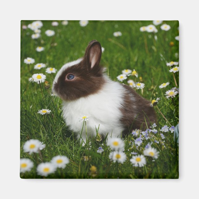Small Brown and White Bunny i Flowers Magnet (Framsidan)