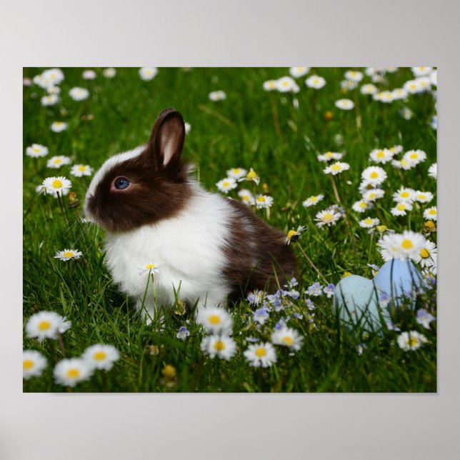 Small Brown and White Bunny i Flowers Poster (Framsidan)