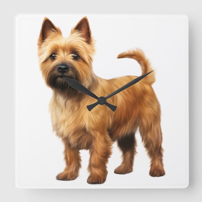SMALL BROWN NORWICH TERRIER HUND FYRKANTIG KLOCKA (Framsida)