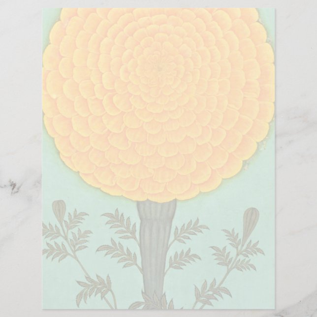 Small Clive Album | Marigold (Framsida)