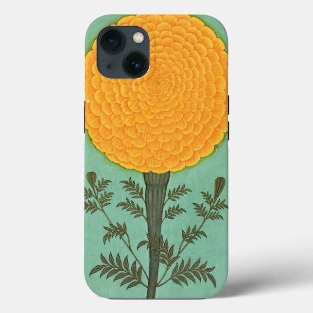 Small Clive Album | Marigold (Baksida)