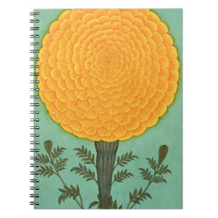 Small Clive Album Marigold Anteckningsbok