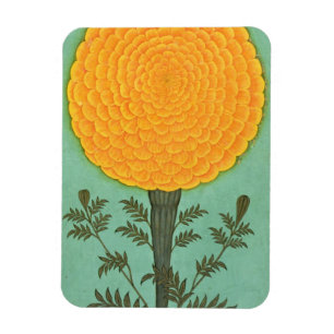Small Clive Album Marigold Magnet