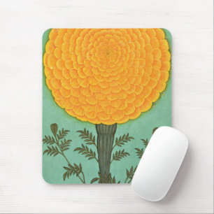 Small Clive Album Marigold Musmatta