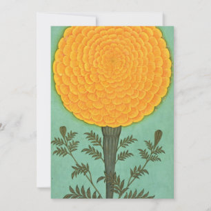 Small Clive Album Marigold Tack Kort