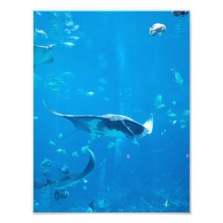 SMALL/MEDIUM STORLEK Poster #Y020 på foto