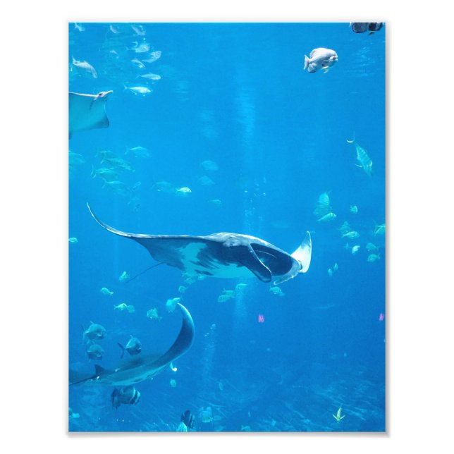 SMALL/MEDIUM STORLEK Poster #Y020 på foto (Framsidan)