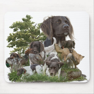 Small Munsterlander Musmatta