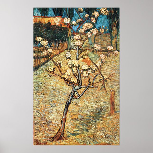 Small Pear Träd i Bloom av Vincent van Gogh Poster (Framsidan)