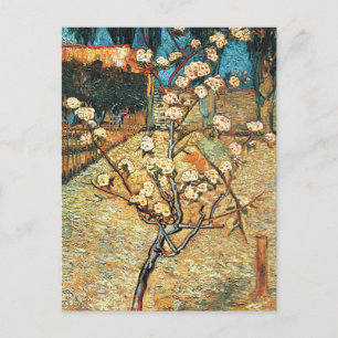 Small Pear Träd i Bloom av Vincent van Gogh Vykort