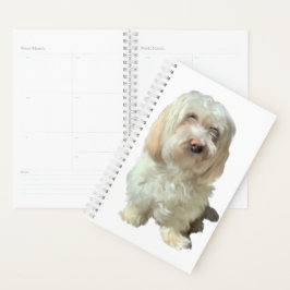Small Planner Havanese Hund