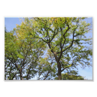 SMALL Poster # L003 på foto