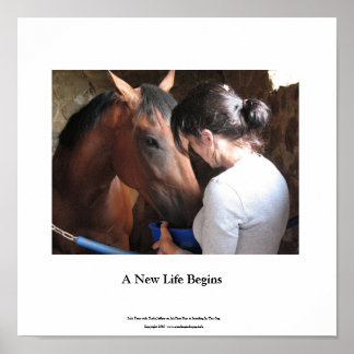 Small Poster Solo Tour och Darla Jeffery