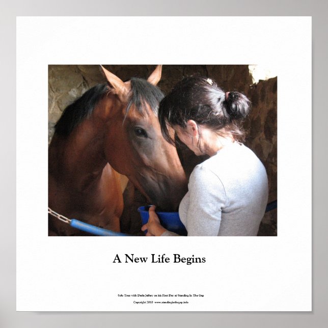 Small Poster Solo Tour och Darla Jeffery (Framsidan)