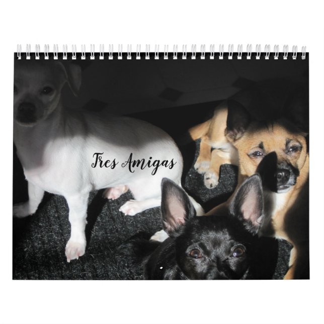 Small Rädding Hundar 12-månaders kalender (Omslag)
