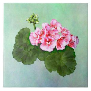 Small Rosa Geranium Kakelplatta