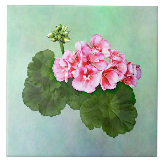 Small Rosa Geranium Kakelplatta (Framsidan)