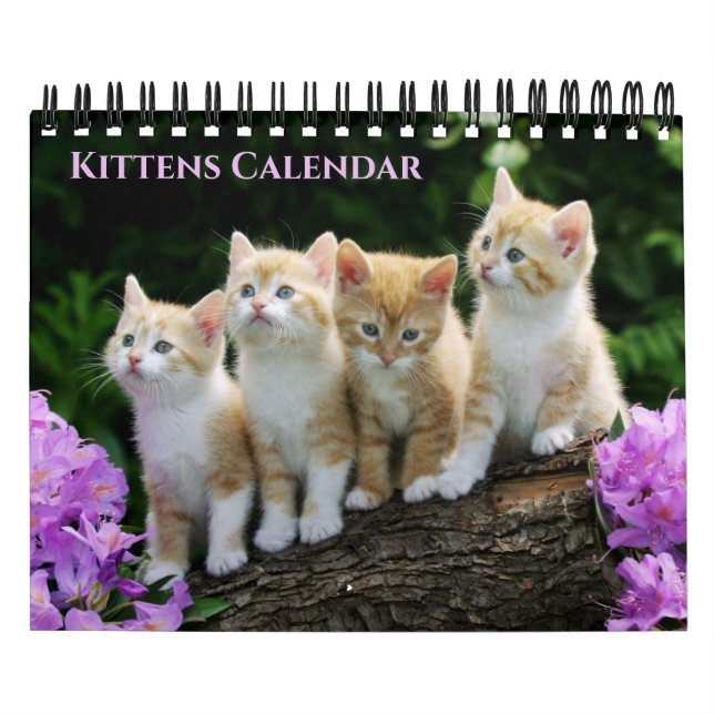 Small Size Kittens Calendar Kalender (Omslag)
