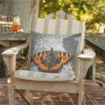 Small Tortoiseshell Butterfly