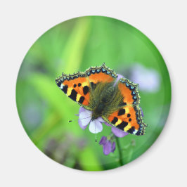 Small Tortoiseshell Butterfly Magnet