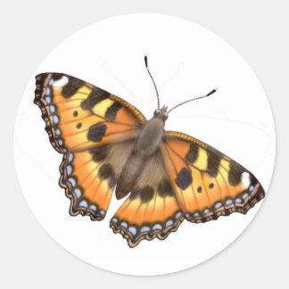 Small Tortoiseshell Butterfly Sticker Runt Klistermärke