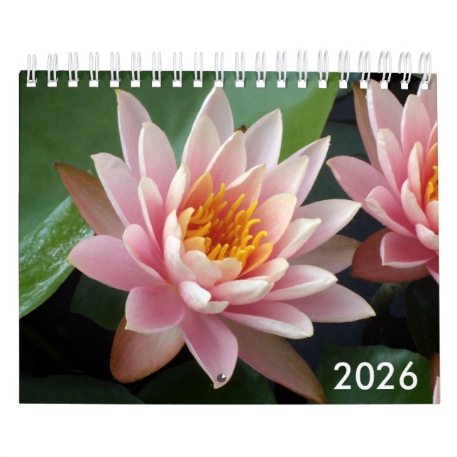Small Water Lilies Calendar 2026 Kalender (Omslag)