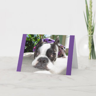 Smallish ta sig en tupplur… eller TVÅ! Lola B. Kort