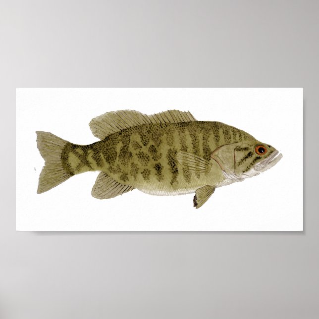 Smallmouth Bass Art Poster (Framsidan)
