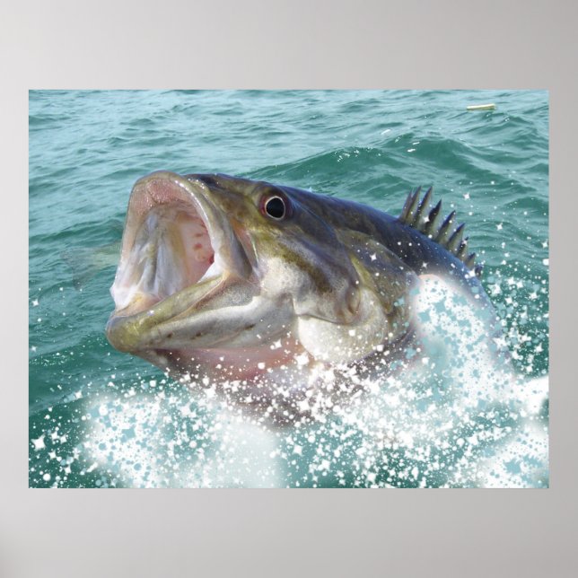 Smallmouth bass poster (Framsidan)