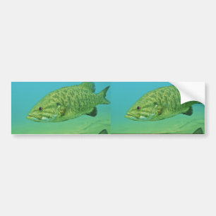 Smallmouthbas Bildekal
