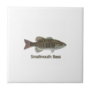 Smallmouthbas Kakelplatta