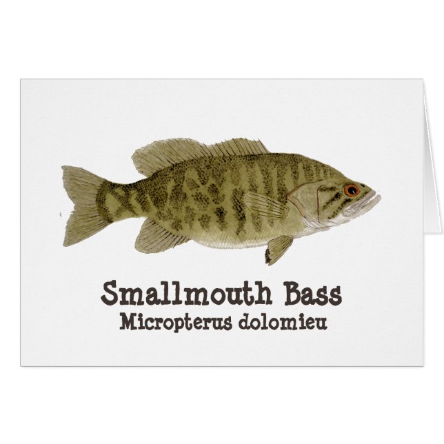 Smallmouthbaskort Hälsningskort (Framsidan Horizontal)