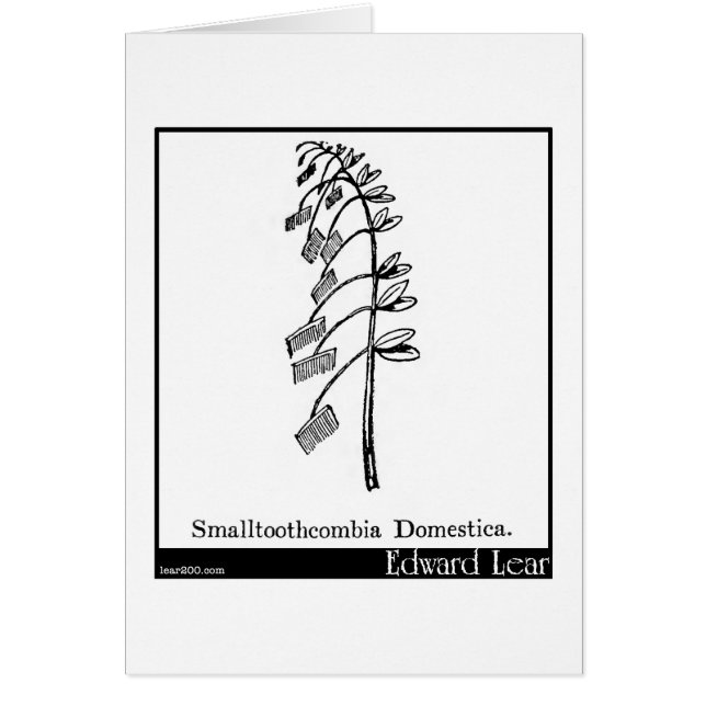Smalltoothcombia Domestica. Hälsningskort (Framsidan)