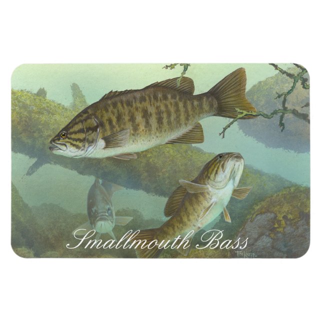 Smalmouth Bass Painting Magnet (Horisontell)