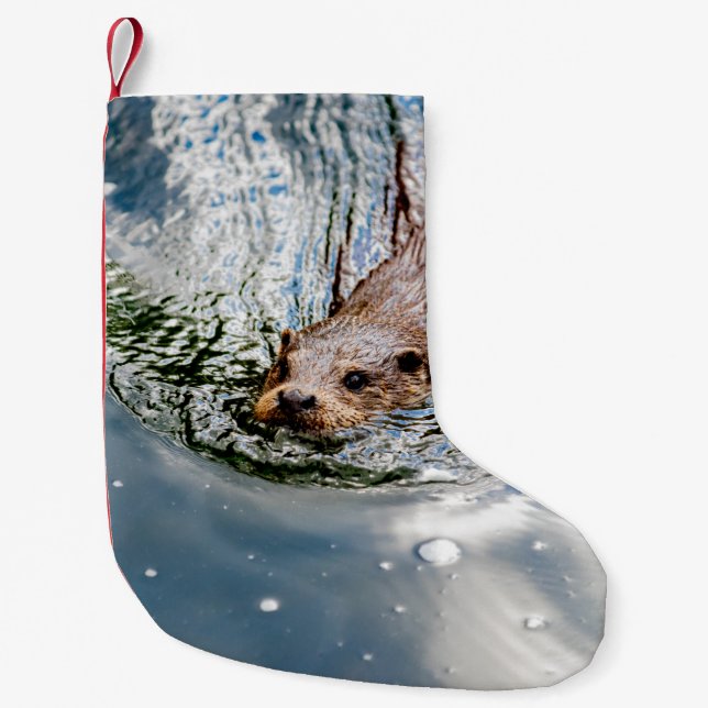 SMALSKT SVAMMANDE LITEN JULSTRUMPA (Framsidan)