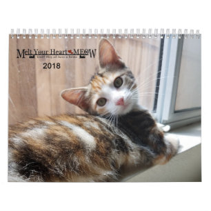 Smält din hjärta - JAMA kattungekalendern 2018 Kalender