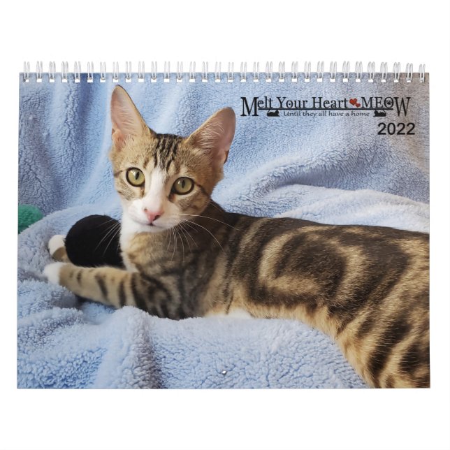Smält ditt hjärta - MEOW 2022 Kitten Calendar Kalender (Omslag)
