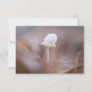 Smalt Mushroom-fotokort
