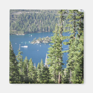 Smaragdfjärd Magnet