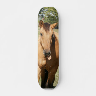 smart aleckhäst skateboard bräda 19,5 cm