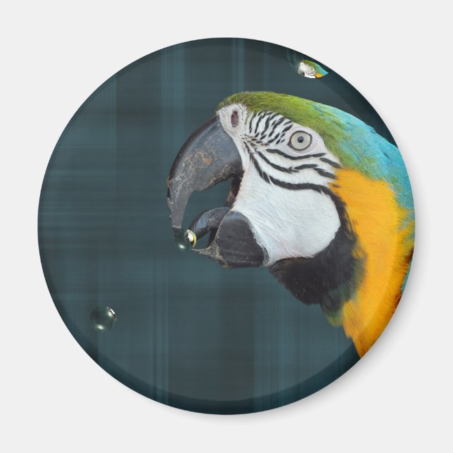 Smart Bird Magnet (Framsidan)