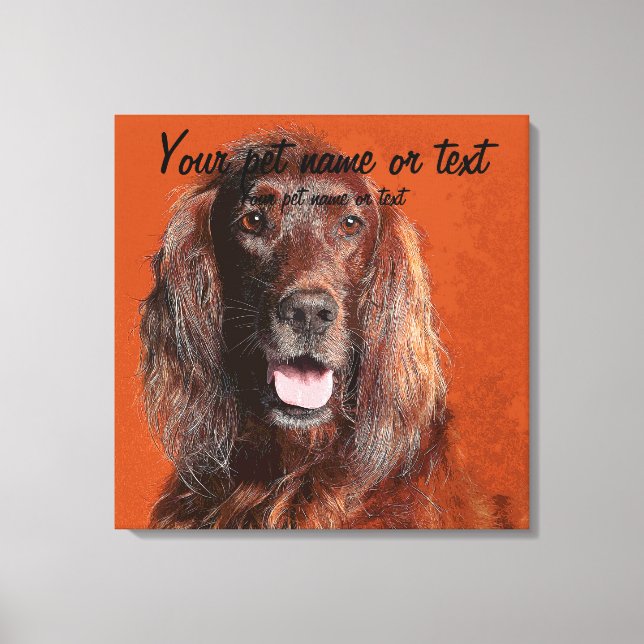 Smart Irish Setter Dog Canvastryck (Framsida)