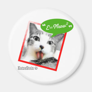 smart katt magnet