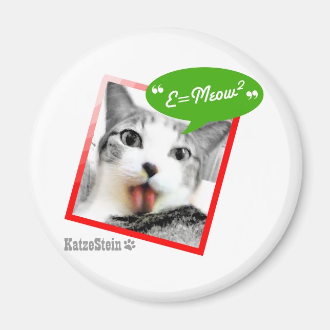 smart katt magnet (Framsidan)